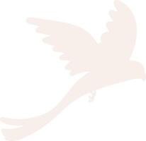 Silhouette of a Flying Bird vector