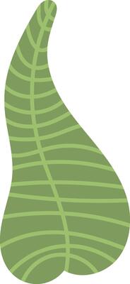 Abstract Tropical Leaf