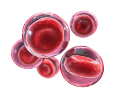 Red blood cells in motion emphasizing circulation and health png