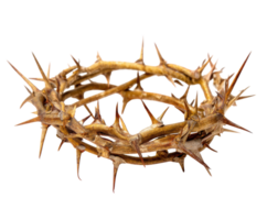 Symbolic crown of thorns representing suffering and sacrifice png