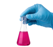 Gloved hand holds pink liquid in lab flask for experiment png