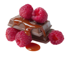 Chocolate and raspberry dessert combination with caramel drizzle png