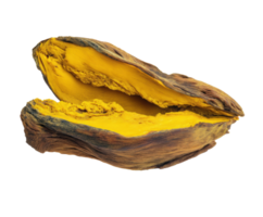 Natural turmeric root on display for culinary and health uses png