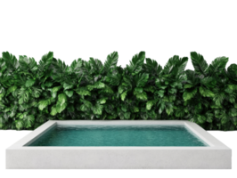 Modern rectangular pool surrounded by lush green foliage png