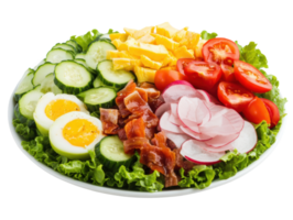 Fresh salad platter with cucumbers, tomatoes, eggs, and more png