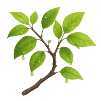 Dewy Green Branch with Serenity of Nature in Simple Composition png