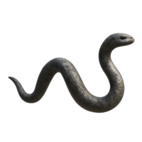 3D Render of a Simple Sea Snake in Realistic Style png