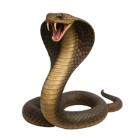 Realistic 3D Cobra Snake with Hood Displaying Intimidating Posture png