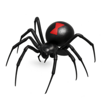 Realistic 3D Black Widow Spider Model for Digital Use and Design png