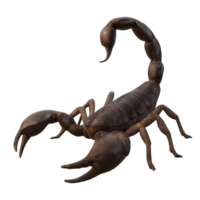 3D Scorpion Illustration in Simple Stance for Creative Projects png