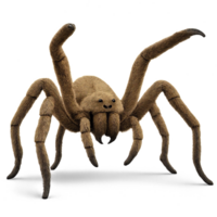 Realistic 3D Render of Brazilian Spider with Detailed Features png