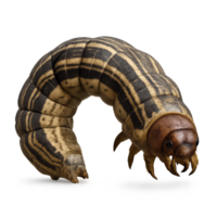 Realistic 3D Render of a Striped Armyworm Caterpillar Display png