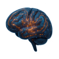 Futuristic Neural Brain with Circuit Patterns and Glowing Effects png
