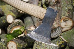 Close-up shot of an axe embedded in a log, ready to split more firewood. photo