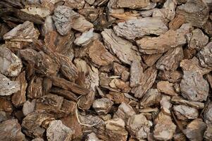 Close-Up View of Brown Tree Bark Mulch for Gardening and Landscaping photo