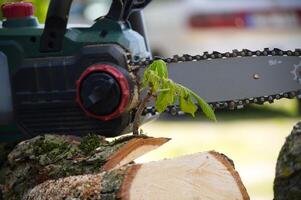 Chainsaw rests next to a fresh tree cut with new green growth sprouting out of the wood. photo