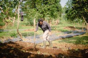 Farmer tending to his farm with dedication and focus in the sunny day photo
