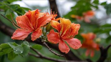 Detailed macro image of flower against green soft background photo