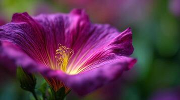 Natural scenery with single flower bloom photo