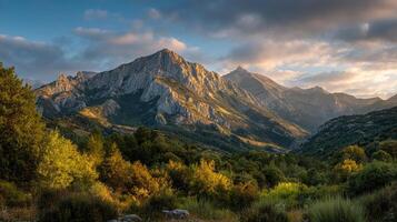Subtle tones and rich textures in nature photography photo