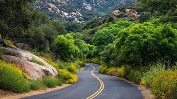 Winding road with trees and soft terrain photo