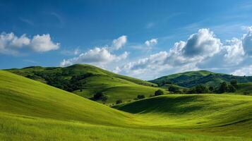 Summer meadow basking in clear sunny sky photo