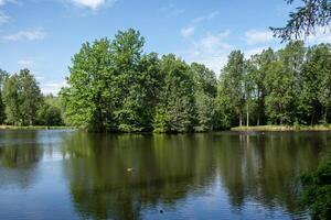 Serene Lake Surrounded by Lush Green Trees on a Bright Sunny Day in a Tranquil Natural Setting photo