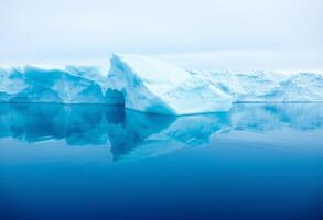 Wide View Arctic Sea Ice photo