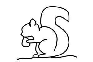 A simple line art of a squirrel sitting upright, holding food in its front paws, with a large curled tail and standing on a ground line. vector