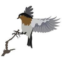 The birds sitting in the tree. vector