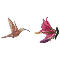 Birds with flower vector