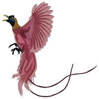 Beautiful birds image vector