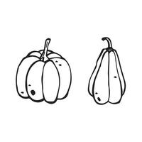 Set of illustration pumpkin sketch line art of healthy organic vegetable isolated on white background. Ink drawing for package, postcard, menu, farmers markets, print for halloween vector