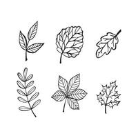 Hand drawn autumn leaves outline from different trees, oak, maple, chestnut. Leaf line art collection for coloring book, patterns, stickers. Foliage contour sketch isolated on white background vector