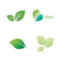 Set Mint leaf logo element template vector