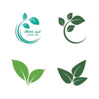 Stylized Mint leaf logo element template and symbol vector