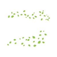 Green leaves on a white background design vector