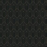 Elegant Art Deco Geometric Pattern. Elegant gold geometric pattern on black background. Geometric golden luxury pattern assemble. Line patten vector