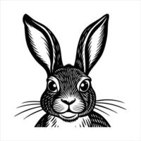 Rabbit Looking Side vector