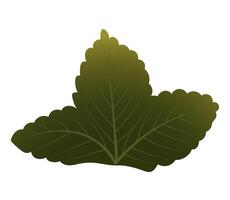 Strawberry leaf for your design. vector