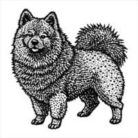 pointillism keeshond made vector