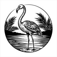 flamingo standing in shallow vector