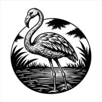 flamingo standing in shallow water vector