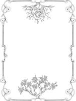 Vines plant botanical frame and border vector