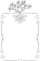 Vines grape plant botanical frame and border vector