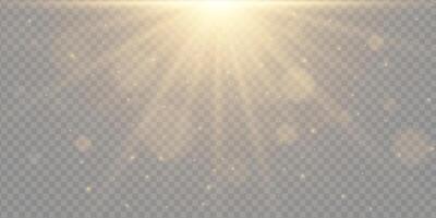 Golden light glow effect. Bright sun flare, sparkles and radial rays on background. Includes abstract glitter, bokeh, lens glare and sunshine burst. aura texture for design use. vector