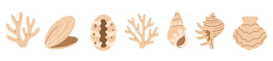 Beige marine collection featuring clams, cowries, conch shells, and coral in flat minimal style on white background vector