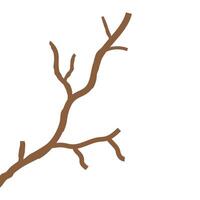 Stylized element branch logos vector