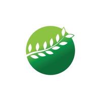 Stylized branch logos element vector