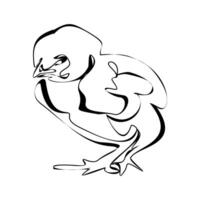 Single continuous line drawing of cute little chicken. Funny chicken. One line design illustration vector